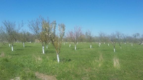 Добро пожаловать на наш сайт! Добро пожаловать на наш сайт!