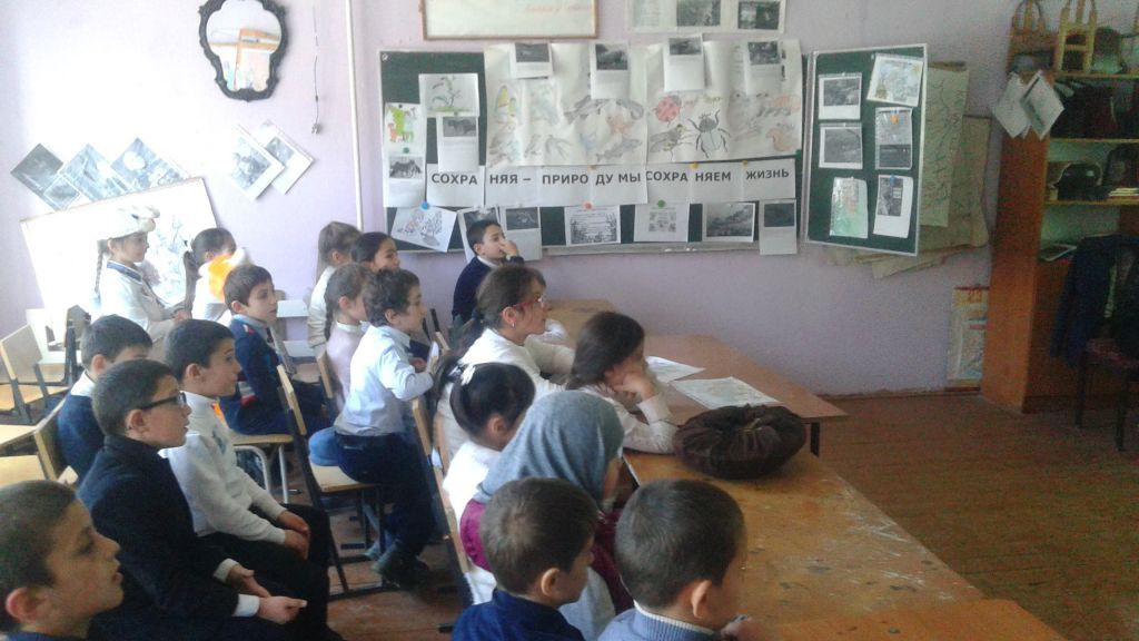 Открытые уроки и классные часы