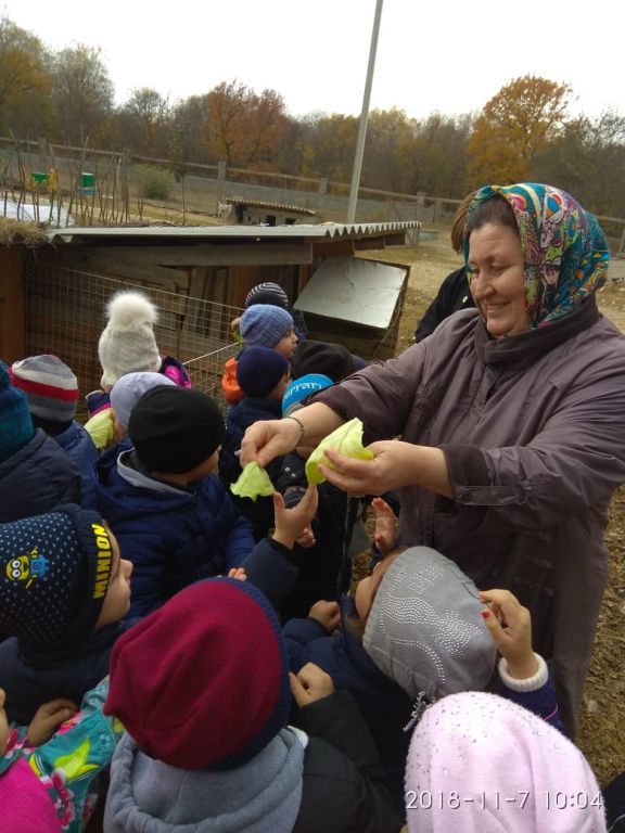 экскусия на ферму с детьми МКДОУ "Солнышко"