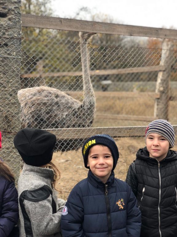 экскурсия на ферму с детьми МКДОУ "Солнышко"