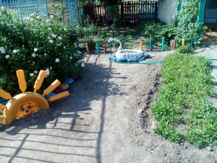 бабочки бабочки