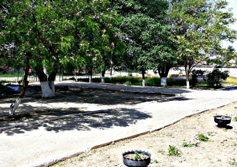 МКОУ "Кочубейская СОШ №1" МКОУ "Кочубейская СОШ №1"