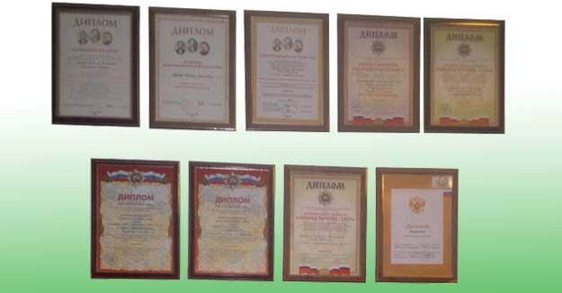наши дипломы наши дипломы