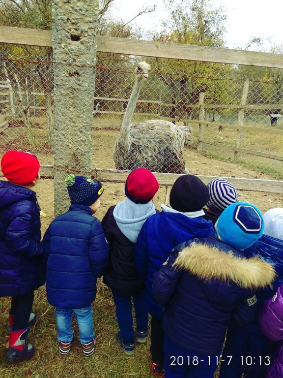 экскурсия на ферму с детьми МКДОУ "Солнышко"