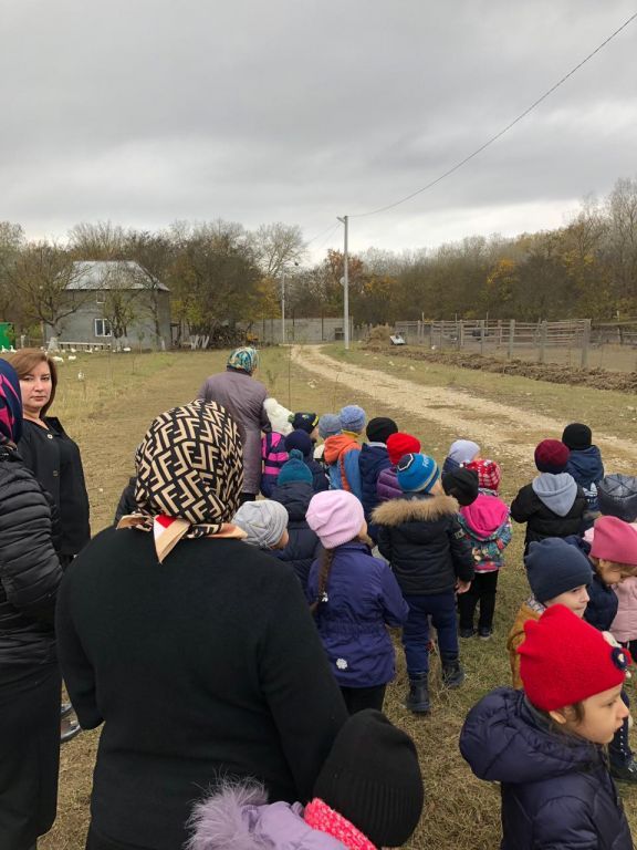 экскусия на ферму с детьми МКДОУ "Солнышко"