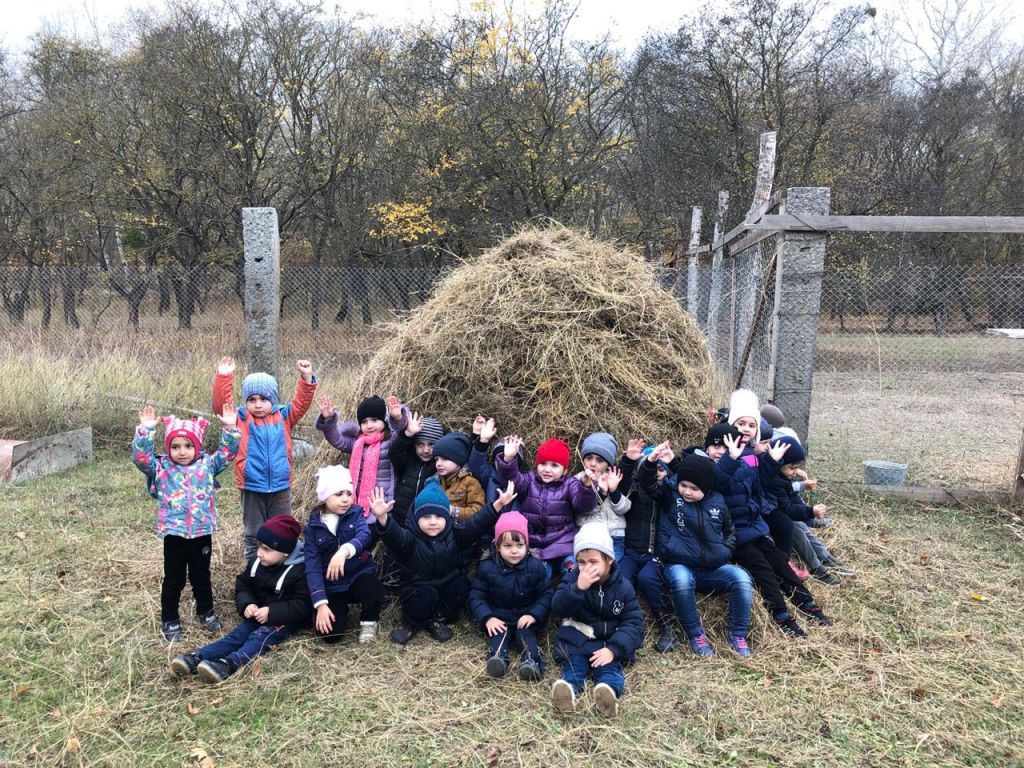 экскурсия на ферму с детьми МКДОУ "Солнышко"