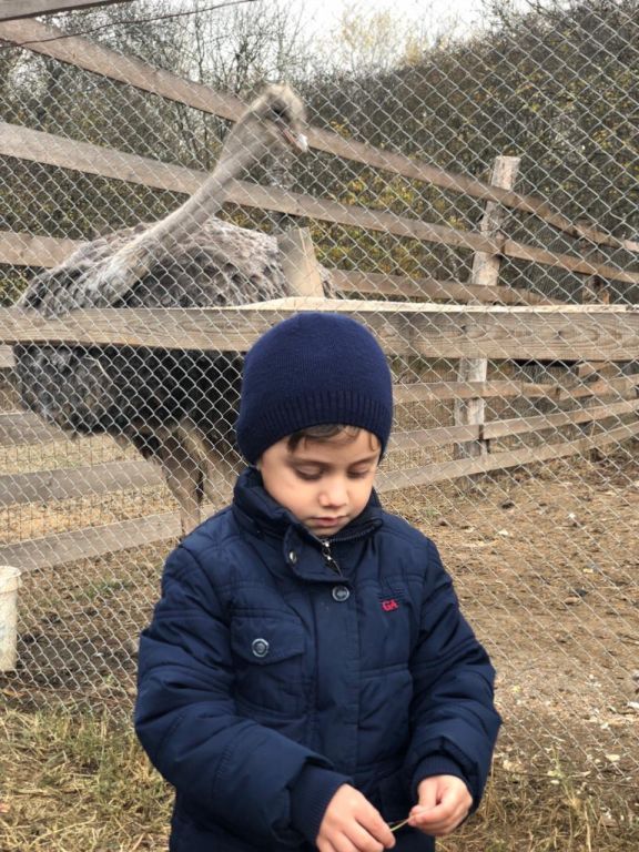 экскурсия на ферму с детьми МКДОУ "Солнышко"