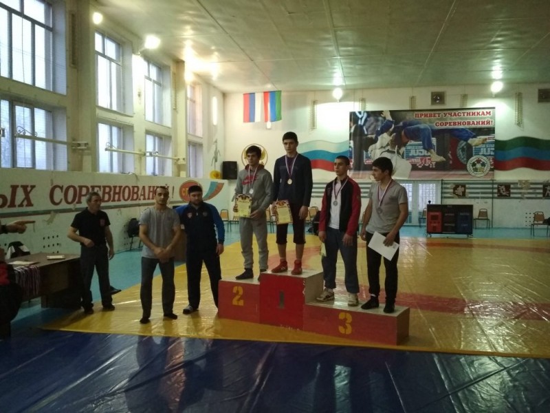 Вольная борьба