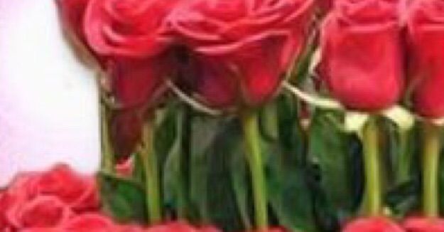 8 март 8 март