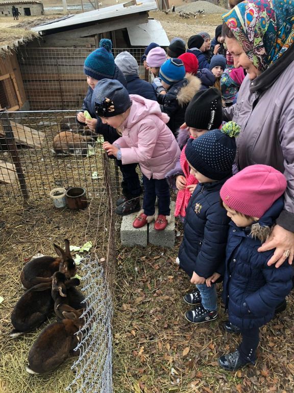 экскусия на ферму с детьми МКДОУ "Солнышко"