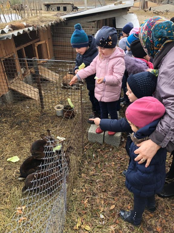 экскусия на ферму с детьми МКДОУ "Солнышко"
