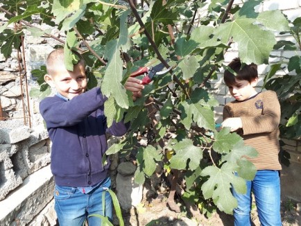 Юные экологи Юные экологи