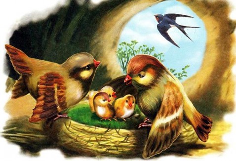 Добро пожаловать в наш детский сад