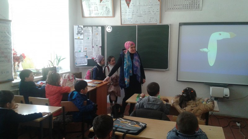 Открытые уроки и классные часы