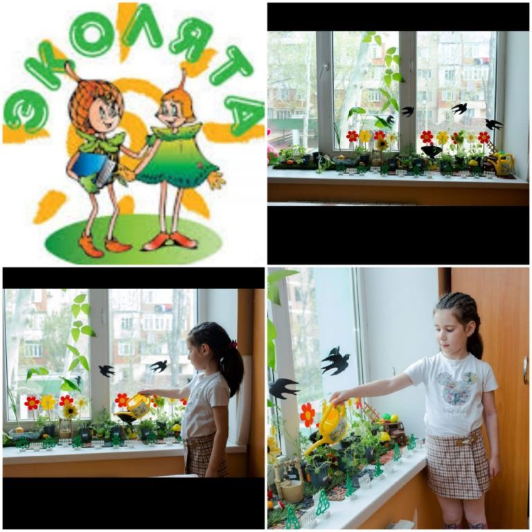 Эколята