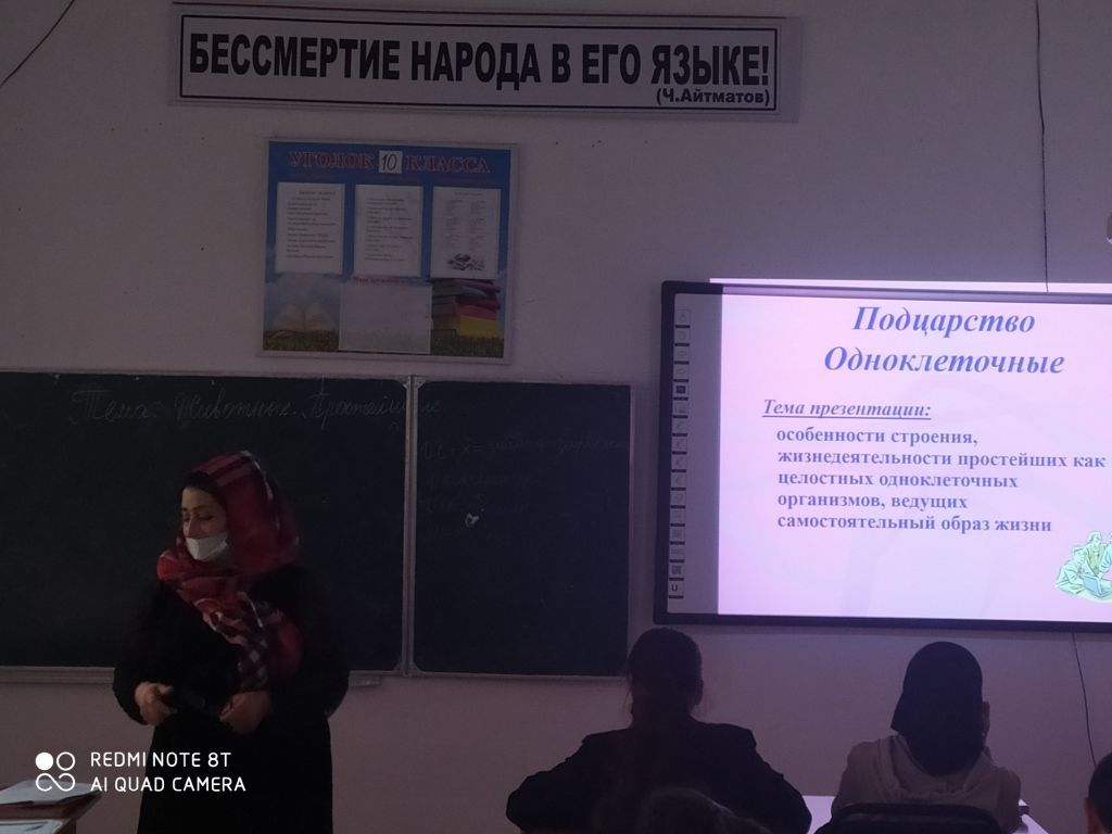 Открытые уроки и классные часы