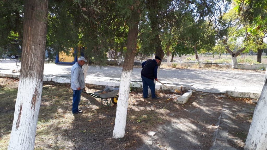 Фотографии