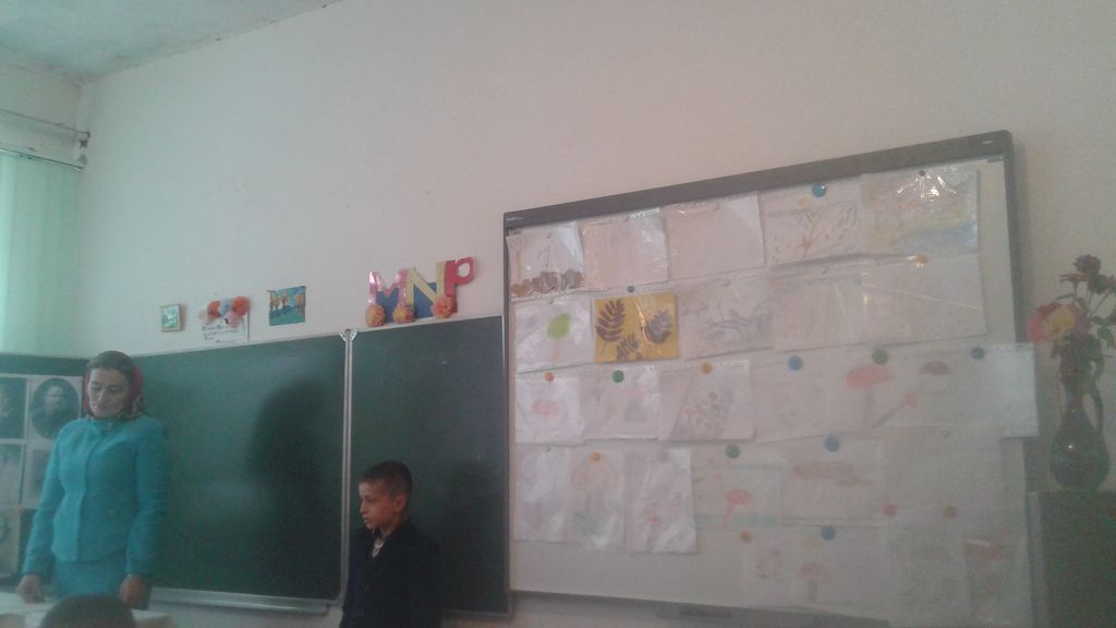 Открытые уроки и классные часы