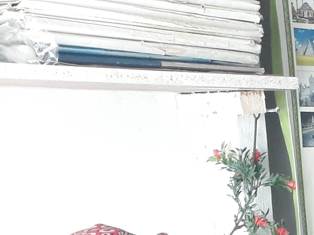 Всероссийский открытый урок "ПроеКТОриЯ"