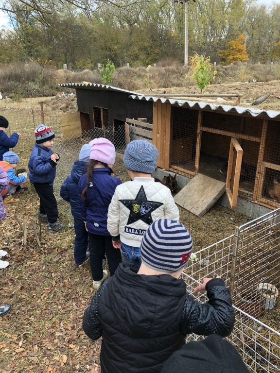 экскурсия на ферму с детьми МКДОУ "Солнышко"