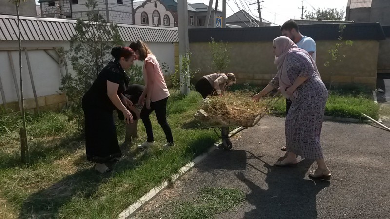 Наши субботники